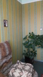 ��������� ������� � ��� �������� ���� 15