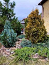 � ������� ������� � �� ����-���� � �.���� ��������� ���� 20