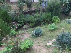 ПРОДАМ КЛАСНИЙ БУДИНОК БІЛЯ МОРЯ фото 3 ПРОДАМ КЛАСНИЙ БУДИНОК БІЛЯ МОРЯ фото 3