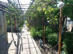 ��� ������� 80 ��.� 3 ������� ������ ������� �������� 6 ����� ���� 10