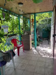 ��������� ������� ������� ���., 1175, �����, ����������, ������� ���� 11