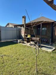 ��������� ������� ˳��� 1 ���. (����� ����.), ����������, �������������, ������� ���� 31