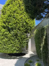 �������� ������� � ������ ������� (13 ��. �������� �������)! ���� 41