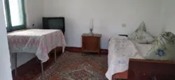Дачна ділянка з доміком та підвалом, с. Кошари, СТ Протовик фото 1 Дачна ділянка з доміком та підвалом, с. Кошари, СТ Протовик фото 1