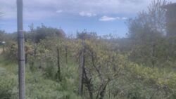 ����������� �� ������� ������ 2-� ���������� ������� � �. ������� (��������������� �-�) � ����� �� ����! ���� 9