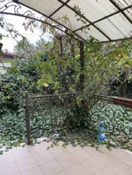 �/�, ���� ³����, �������� 2 ���� 38