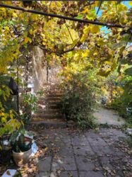 �������� ����.ֳ�� �� �� ������, ������ � ��������� ���� 4