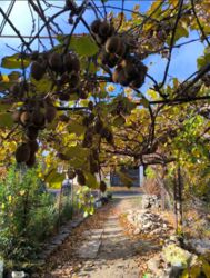 �������� ����.ֳ�� �� �� ������, ������ � ��������� ���� 8