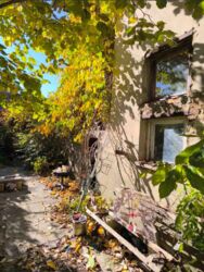 �������� ����.ֳ�� �� �� ������, ������ � ��������� ���� 3