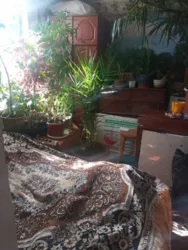 ������� � ���� � ������������� � �. �����! ���� 13