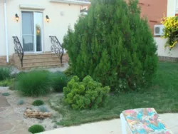 ������� �.˳��� ���� 8