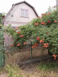 Продам будинок в передмісті Одеси фото 1 Продам будинок в передмісті Одеси фото 1