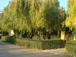 ������� �.˳��� ���� 2