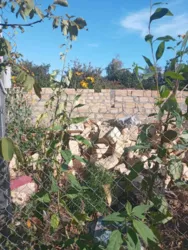 ������� � �. ����� �� '�������'! ���� 2