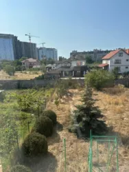 ����������� �� ������� ��������� ��������� �������� ������� � ��������-1 ���� 13