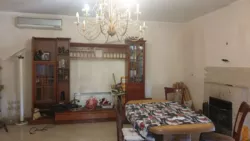 ��������� ������� ���������� 1-� ����., �����, �������, ��������, ������ ���� 19