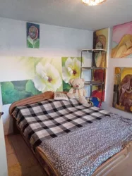 ��� ������� 80 ��.� 3 ������� ������ ������� �������� 6 ����� ���� 8