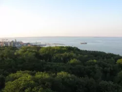 ����� ������� �� ���� ������������� �� ����� ����! ���� 11