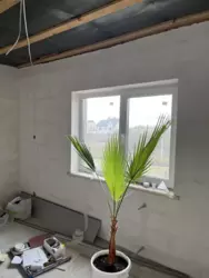 ����� ������� �������� 2 ������� 100 ��.� �������� ������� ������. ����� ���� ���� 7