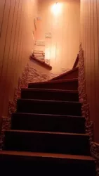 2 ������� �� ������ ���� 29