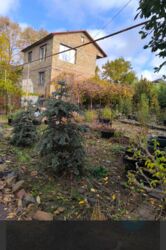 �������� ����.ֳ�� �� �� ������, ������ � ��������� ���� 2