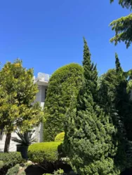 �������� ������� � ������ ������� (13 ��. �������� �������)! ���� 40