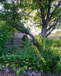 ���������� ������� � ������������� �� ������ ������ � �. ������ �����! ���� 1