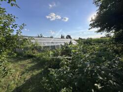 ������ ������� ĳ� �. �������, ������������� ����� � ������� 51 ��� ���� 26