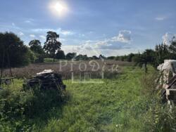 ������ ������� ĳ� �. �������, ������������� ����� � ������� 51 ��� ���� 24