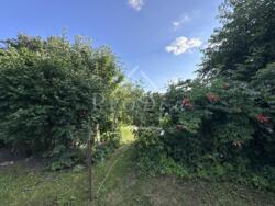 ������ ������� ĳ� �. �������, ������������� ����� � ������� 51 ��� ���� 25