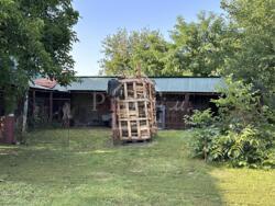 ������ ������� ĳ� �. �������, ������������� ����� � ������� 51 ��� ���� 20