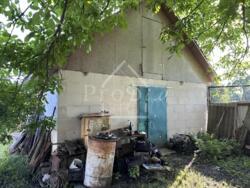 ������ ������� ĳ� �. �������, ������������� ����� � ������� 51 ��� ���� 23