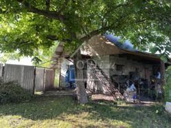 ������ ������� ĳ� �. �������, ������������� ����� � ������� 51 ��� ���� 22