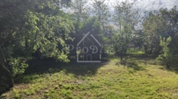 ������ ������� �. ������ �������� ��������� �������� ���� 21