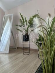 ������ ������� ĳ� ��� � �������� 111 �2 �������� ��������+ ���� 17