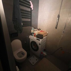 ��������� ������� ��������, ���������, ���������� ���� 6