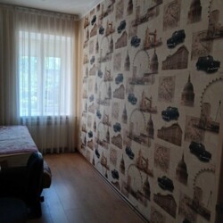 Продається будинок Піщева, 45, Запоріжжя, Запорізька, Шевченківський фото 18 Продається будинок Піщева, 45, Запоріжжя, Запорізька, Шевченківський фото 18