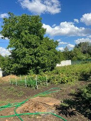 Продається будинок Машинна, 74, Запоріжжя, Запорізька, Заводський фото 11 Продається будинок Машинна, 74, Запоріжжя, Запорізька, Заводський фото 11