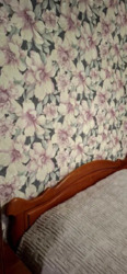 Продається будинок Балка Поповка, 93, Запоріжжя, Запорізька, Комунарський фото 16 Продається будинок Балка Поповка, 93, Запоріжжя, Запорізька, Комунарський фото 16