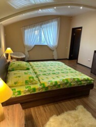 ��������� ������� ��������, ���������, ������������ ���� 19