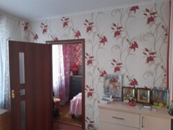 ��������� ������� ��������, ���������, ������������� ���� 19