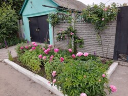 ��������� ������� ��������, ���������, ������������� ���� 4