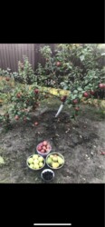 Продається будинок Молочна, Запоріжжя, Запорізька, Шевченківський фото 24 Продається будинок Молочна, Запоріжжя, Запорізька, Шевченківський фото 24