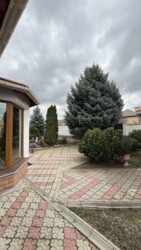 Продається будинок Космос, Запоріжжя, Запорізька, Комунарський фото 7 Продається будинок Космос, Запоріжжя, Запорізька, Комунарський фото 7