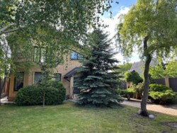 ��������� ������� ��������, ���������, ������������ ���� 2