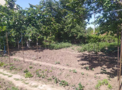 Продається будинок провулок Юрьевський, 11, Запоріжжя, Запорізька, Заводський фото 9 Продається будинок провулок Юрьевський, 11, Запоріжжя, Запорізька, Заводський фото 9