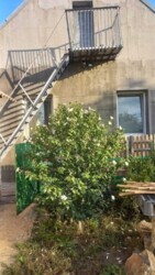 ��������� ������� ������ ���������, 3�, ��������, ���������, ������������ ���� 10