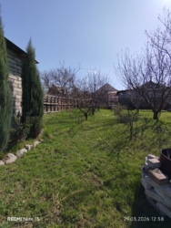 ������ ������� ���� 3