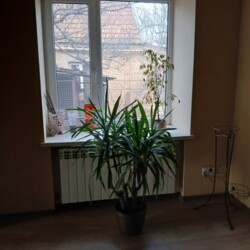 Продається будинок Піщева, 45, Запоріжжя, Запорізька, Шевченківський фото 8 Продається будинок Піщева, 45, Запоріжжя, Запорізька, Шевченківський фото 8