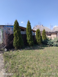 ������ ������� ���� 4